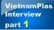 Insight Interviews at Vietnamplas