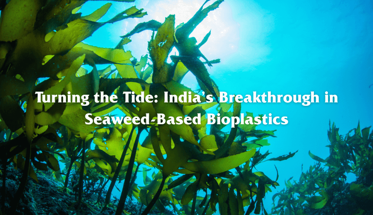 Turning the Tide: India’s Breakthrough in Seaweed-Based Bioplastics