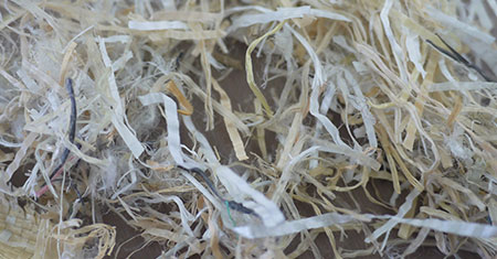 Plastic Raffia