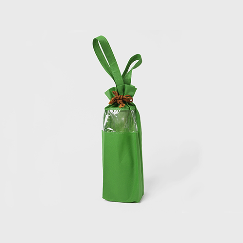 Transparent Bag