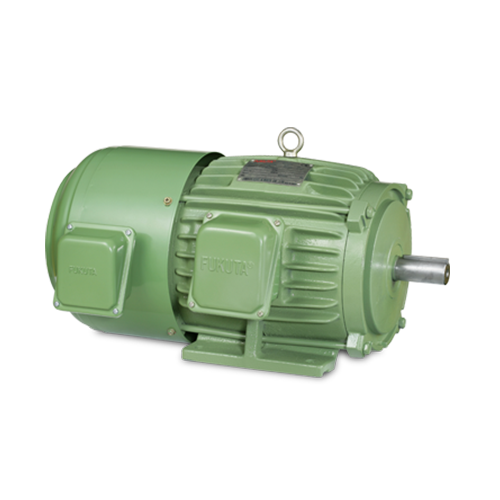 HomeProductsInverter / Inverter Duty Motor: GFEF Series