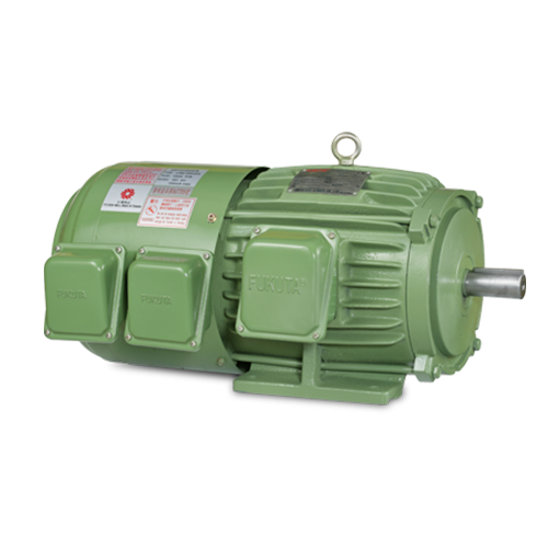 Inverter Duty Motor: TFEF Series