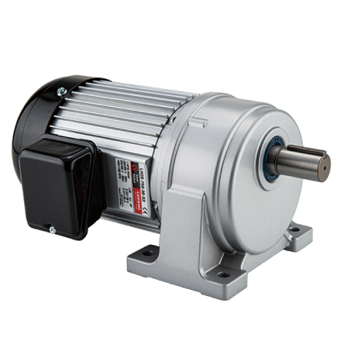 LH Horizontal Gear Motor